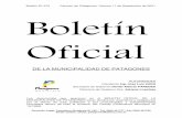 Boletin Oficial N 370.doc) - patagones.gob.ar