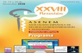 FORMATO VIRTUAL Programa - asenem.org