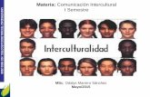 Materia: Comunicación Intercultural I Semestre