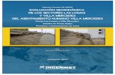 Evaluación geodinámica de los sectores Las Lomas y Villa ...