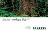 BOLETIN INVERSIONISTAS T3 2021 VF - bosques-amazonicos.com