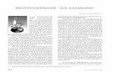PROYECCIONES DE JUS-SANGUINIS - Revista de Marina