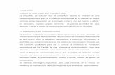 CAPITULO IV DISEÑO DE UNA CAMPAÑA PUBLICITARIA