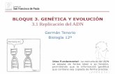 BLOQUE 3. GENÉTICA Y EVOLUCIÓN 3.1 Replicación del ADN