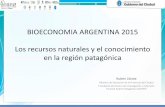 BIOECONOMIA ARGENTINA 2015 Los recursos naturales y el ...