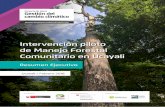 Intervención piloto de Manejo Forestal Comunitario en Ucayali