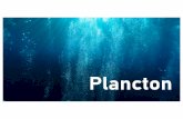 Plancton - UNAM