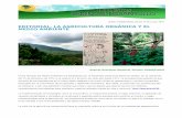 EDITORIAL, LA AGRICULTURA ORGÁNICA Y EL MEDIO AMBIENTE