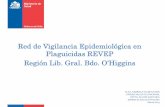 Red de Vigilancia Epidemiológica en Plaguicidas REVEP ...