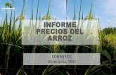 INFORME PRECIOS DEL ARROZ