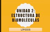 UNIDAD 2: ESTRUCTURA DE BIOMOLÉCULAS