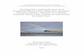 “Estratigrafía y paleoambientes de la Formación Monte León ...