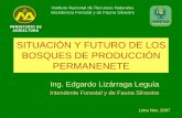 SITUACIÓN Y FUTURO DE LOS BOSQUES DE PRODUCCIÓN …