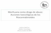 Marihuana como droga de abuso: Acciones toxicológicas de los