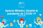 Apoyos Mineduc durante la pandemia de COVID-19