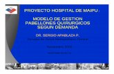 GESTION PABELLONES MAIPU