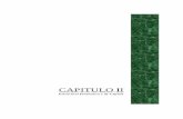 CAPITULO II - unac.edu.pe