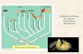 Diapsida primitivos. Arcosauria: Cocodrilos y dinosaurios