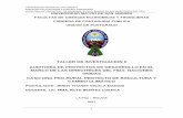 TALLER DE INVESTIGACION II AUDITORÍA DE PROYECTOS DE ...