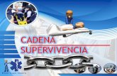 CADENA SUPERVIVENCIA - incaprodex.com