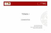 TEMA I - um.es