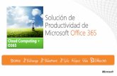 Solución de Productividad de Microsoft Office 365