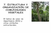 7. ESTRUCTURA Y ORGANIZACIÓN DE COMUNIDADES VEGETALES