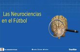 Las Neurociencias en el Fútbol - GrupoEkipo.com