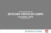 LABORATORIOS DE DISEÑO 2018 BITÁCORA VISITAS EN CAMPO