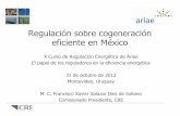 Regulación sobre cogeneración eficiente en México