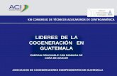 LIDERES DE LA COGENERACIÓN EN GUATEMALA