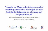 Proyecto de Mapeo de Activos en salud infanto-juvenil en ...