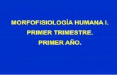 MORFOFISIOLOGÍA HUMANA I. PRIMER TRIMESTRE. PRIMER AÑO.