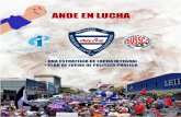 ANDE EN LUCHA - Para la democracia participativa