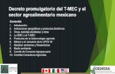 Decreto promulgatorio del T-MEC y el sector ...
