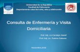 Consulta de Enfermería y Visita Domiciliaria
