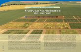 Nuevas variedades de cereal - Revista técnica agraria de ...