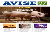 AVISE - dj.senasica.gob.mx