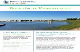 Boletín de Verano 2020 - Peconic Estuary