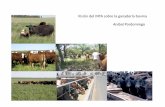 Visión del INTA sobre la ganadería bovina Anibal Pordomingo