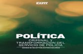 Política criminal y transformación de policia