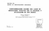 CONTAMINACION SALINA DEL LAGO DE MARACAIBO: EFECTOS …