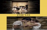 POLVO - Aved