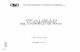 VEGF-A Y COX-2 EN LA ANGIOGÉNESIS DEL CARCINOMA DE MAMA