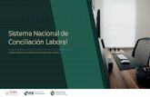 Conciliación Laboral Sistema Nacional de