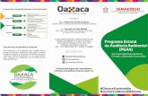 005 triptico auditoría - oaxaca.gob.mx