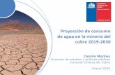 Proyección de consumo de agua en la minería del cobre 2019 ...