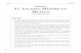 NUMERALIA EL SALARIO MÍNIMO EN MÉXICO