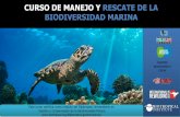 CURSO DE MANEJO Y RESCATE DE LA BIODIVERSIDAD MARINA