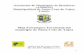 Plan Estratégico Territorial del municipio de Santa Crúz ...